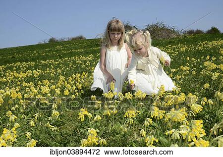 "Two girls, 7 and 2 years, wearing summer dresses, in a field of cowslip, Sweden, Europe" View Large Photo Image Stock Image - "Two girls, 7 and 2 years, wearing summer dresses, in a field of cowslip, Sweden, Europe". Fotosearch