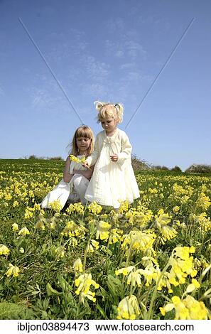 "Two girls, 7 and 2 years, wearing summer dresses, in a field of cowslip, Sweden, Europe" View Large Photo Image Stock Image - "Two girls, 7 and 2 years, wearing summer dresses, in a field of cowslip, Sweden, Europe". Fotosearch