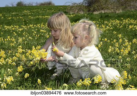 "Two girls, 7 and 2 years, wearing summer dresses, in a field of cowslip, Sweden, Europe" View Large Photo Image Stock Photograph - "Two girls, 7 and 2 years, wearing summer dresses, in a field of cowslip, Sweden, Europe". Fotosearch