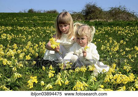 "Two girls, 7 and 2 years, wearing summer dresses, in a field of cowslip, Sweden, Europe" View Large Photo Image Stock Photography - "Two girls, 7 and 2 years, wearing summer dresses, in a field of cowslip, Sweden, Europe". Fotosearch