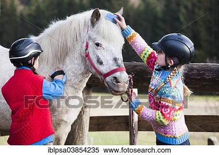 "Two girls grooming a pony, gray, Tyrol, Austria, Europe" View Large Photo Image Stock Photography - "Two girls grooming a pony, gray, Tyrol, Austria, Europe". Fotosearch
