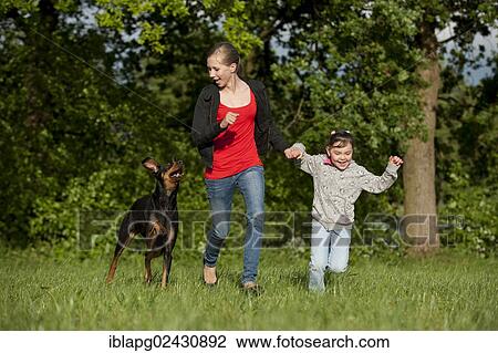 Two girls playing with a Doberman View Large Photo Image Stock Image - Two girls playing with a Doberman. Fotosearch