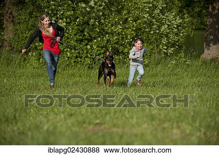 Two girls running with a Doberman across a meadow View Large Photo Image Stock Photo - Two girls running with a Doberman across a meadow. Fotosearch