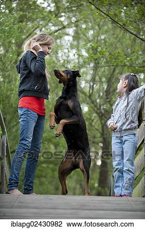 Two girls standing with a Doberman on a bridge View Large Photo Image Stock Image - Two girls standing with a Doberman on a bridge. Fotosearch