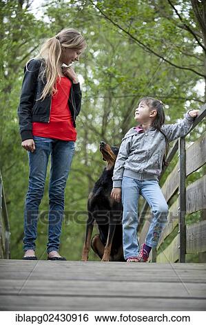 Two girls standing with a Doberman on a bridge View Large Photo Image Stock Photograph - Two girls standing with a Doberman on a bridge. Fotosearch