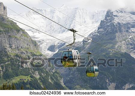 Two gondolas, cable car to the mountain ridge, Wetterhorn Range at back, Upper Grindelwald Glacier near Grindelwald, Bernese Oberland, Canton of Bern, Alps, Switzerland, Europe View Large Photo Image Stock Photograph - Two gondolas, cable car to the mountain ridge, Wetterhorn Range at back, Upper Grindelwald Glacier near Grindelwald, Bernese Oberland, Canton of Bern, Alps, Switzerland, Europe. Fotosearch