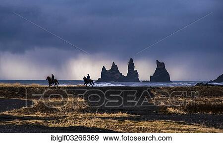"Two horserider riding Icelandic horses on the coast, Reynisdrangar, black basalt sea stacks, Reynisdrangar, Vik i Myrdal, Southern Region, Iceland, Europe" View Large Photo Image Stock Photo - "Two horserider riding Icelandic horses on the coast, Reynisdrangar, black basalt sea stacks, Reynisdrangar, Vik i Myrdal, Southern Region, Iceland, Europe". Fotosearch