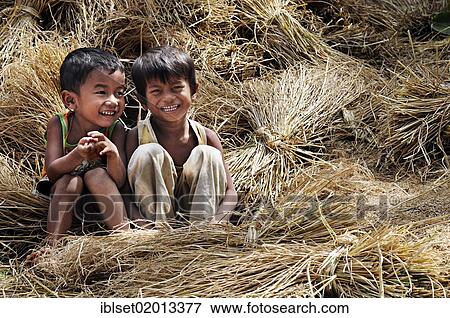"Two laughing children sitting on rice straw, Cambodia, Southeast Asia, Asia" View Large Photo Image Stock Photo - "Two laughing children sitting on rice straw, Cambodia, Southeast Asia, Asia". Fotosearch