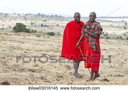 "Two Maasai warriors wearing traditional dress in the savannah, Massai Mara, Distrikt Narok, Serengeti, Rift Valley province, Kenya, Africa" View Large Photo Image Stock Photography - "Two Maasai warriors wearing traditional dress in the savannah, Massai Mara, Distrikt Narok, Serengeti, Rift Valley province, Kenya, Africa". Fotosearch