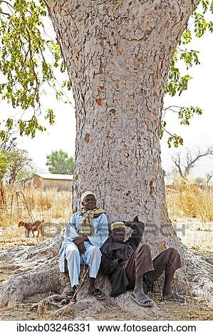 Stock Image - "Two men wearing traditional Muslim clothing sitting under a tree, Bogdi, Garoua, North Region, Cameroon, Africa". Fotosearch