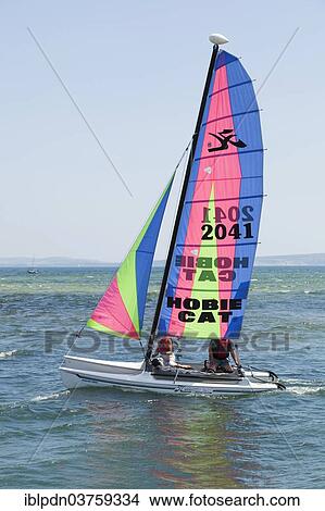 "Two people sailing on a Hobie Cat catamaran, Dorset, England, United Kingdom, Europe" View Large Photo Image Picture - "Two people sailing on a Hobie Cat catamaran, Dorset, England, United Kingdom, Europe". Fotosearch