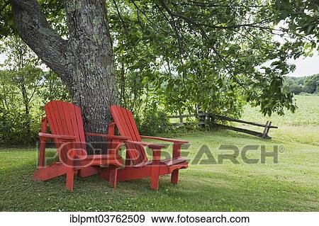 Stock Photo - "Two red wooden Adirondack chairs under a tree in a residential backyard, Quebec, Canada, North America". Fotosearch