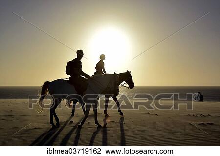 "Two riders on horseback on the beach, silhouette at sunset, Jericoacoara, Ceara, Brazil, South America" View Large Photo Image Stock Image - "Two riders on horseback on the beach, silhouette at sunset, Jericoacoara, Ceara, Brazil, South America". Fotosearch