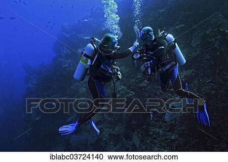 "Two scuba divers practicing sign language, Raja Ampat, West Papua, Indonesia, Asia" View Large Photo Image Stock Image - "Two scuba divers practicing sign language, Raja Ampat, West Papua, Indonesia, Asia". Fotosearch