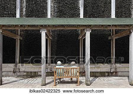 Two seniors sitting in front of a graduation works for the inhalation of salty air, Sole, Grugapark, Essen, Ruhr area, North Rhine-Westphalia, Germany, Europe View Large Photo Image Stock Photography - Two seniors sitting in front of a graduation works for the inhalation of salty air, Sole, Grugapark, Essen, Ruhr area, North Rhine-Westphalia, Germany, Europe. Fotosearch