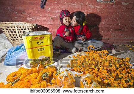 "Two small children selling flowers, Kathmandu Valley, Kathmandu, Kathmandu District, Bagmati Zone, Nepal, Asia" View Large Photo Image Stock Photo - "Two small children selling flowers, Kathmandu Valley, Kathmandu, Kathmandu District, Bagmati Zone, Nepal, Asia". Fotosearch
