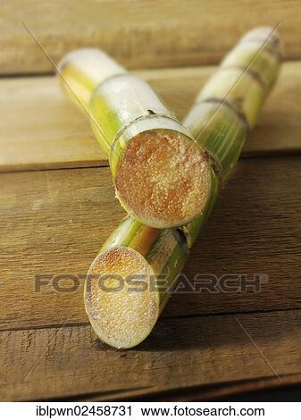 Two sticks of raw sugar cane View Large Photo Image Stock Image - Two sticks of raw sugar cane. Fotosearch