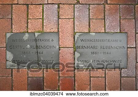 "Two """"stumbling blocks"""" in memory of murdered Jewish citizens during the Nazi period 1933-1945, Rostock, Mecklenburg-Western Pomerania, Germany, Europe" View Large Photo Image Picture - "Two """"stumbling blocks"""" in memory of murdered Jewish citizens during the Nazi period 1933-1945, Rostock, Mecklenburg-Western Pomerania, Germany, Europe". Fotosearch