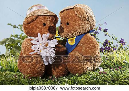 Two teddy bears in love on meadow View Large Photo Image Stock Photo - Two teddy bears in love on meadow. Fotosearch