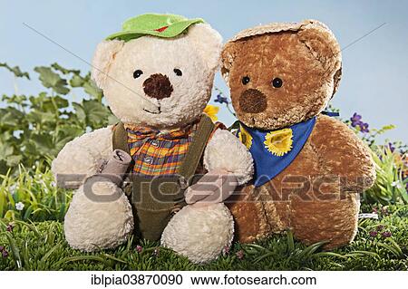 Two teddy bears on meadow View Large Photo Image Stock Image - Two teddy bears on meadow. Fotosearch