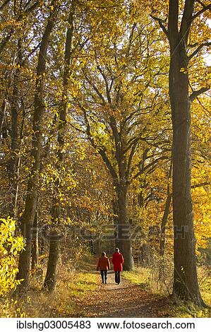 Stock Image - "Two women strolling in autumnal woods, Luneburg, Lower Saxony, Germany, Europe". Fotosearch