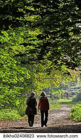 "Two women taking a walk in the forest in sunny autumn weather, Berlin, Germany, Europe" View Large Photo Image Stock Image - "Two women taking a walk in the forest in sunny autumn weather, Berlin, Germany, Europe". Fotosearch