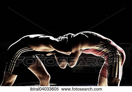 "Two wrestlers in a duel, Baden-Wurttemberg, Germany, Europe" View Large Photo Image Stock Photography - "Two wrestlers in a duel, Baden-Wurttemberg, Germany, Europe". Fotosearch
