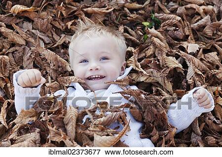 Two-year-old boy lying in autumn leaves View Large Photo Image Stock Photo - Two-year-old boy lying in autumn leaves. Fotosearch