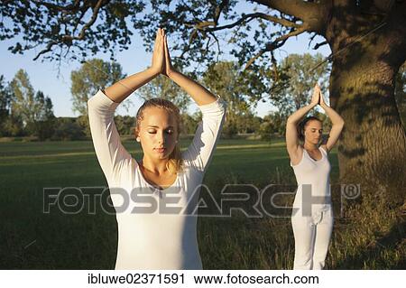 Stock Image - Two young women doing yoga exercises under a tree. Fotosearch