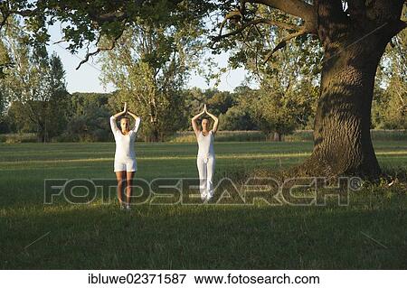 Two young women doing yoga exercises under a tree View Large Photo Image Stock Photo - Two young women doing yoga exercises under a tree. Fotosearch