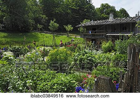 "Typical farmer's garden in Markus Wasmeier Farm and Winter Sports Museum, Neuhaus, Schliersee, Upper Bavaria, Bavaria, Germany, Europe" View Large Photo Image Stock Photograph - "Typical farmer's garden in Markus Wasmeier Farm and Winter Sports Museum, Neuhaus, Schliersee, Upper Bavaria, Bavaria, Germany, Europe". Fotosearch