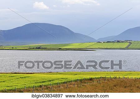 "Typical landscape at Loch Stenness on the Mainland, Orkney, Scotland, United Kingdom, Europe" View Large Photo Image Stock Photo - "Typical landscape at Loch Stenness on the Mainland, Orkney, Scotland, United Kingdom, Europe". Fotosearch