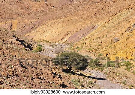 Stock Image - "Typical landscape with a dry river bed, Oued, Anti-Atlas, Souss-Massa-Draa region, Morocco, Africa". Fotosearch