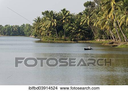 Picture - "Typical landscape with palm trees, Kerala backwaters, Alappuzha, Kerala, India, Asia". Fotosearch