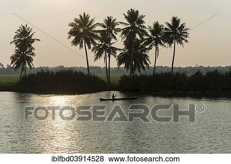 "Typical landscape with palmtrees, a man passing in his boat, Kerala backwaters at dusk, Alappuzha, Kerala, India, Asia" View Large Photo Image Stock Photo - "Typical landscape with palmtrees, a man passing in his boat, Kerala backwaters at dusk, Alappuzha, Kerala, India, Asia". Fotosearch