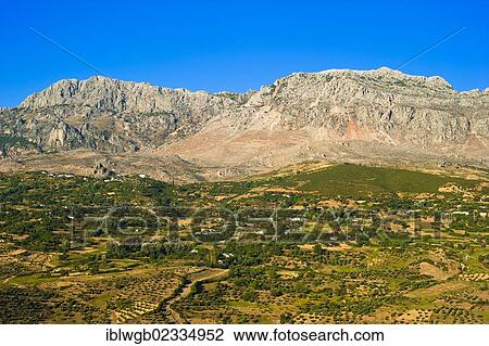 Stock Image - "Typical mountain landscape with individual houses, small fields and olive trees in the Rif or Riff Mountains, northern Morocco, Morocco, Africa". Fotosearch