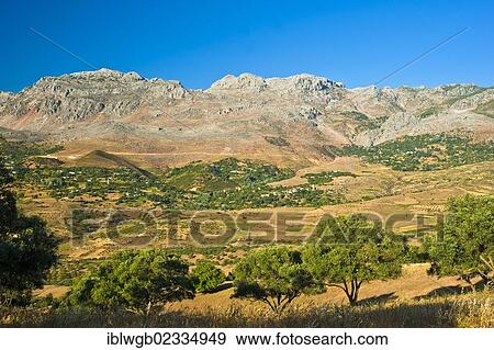 Stock Photo - "Typical mountain landscape with individual houses, small fields and olive trees in the Rif or Riff Mountains, northern Morocco, Morocco, Africa". Fotosearch