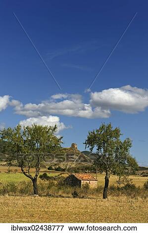 Stock Photo - "Typical north Spanish cultivated landscape, Aragon, Spain, Europe, PublicGround, Europe". Fotosearch