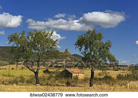 "Typical north Spanish cultivated landscape, Aragon, Spain, Europe, PublicGround, Europe" View Large Photo Image Stock Photo - "Typical north Spanish cultivated landscape, Aragon, Spain, Europe, PublicGround, Europe". Fotosearch