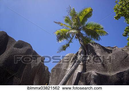 Stock Image - "Typical rock formations in the Seychelles, Anse Union, La Digue, Seychelles, Africa". Fotosearch
