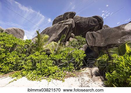 "Typical rock formations in the Seychelles, Anse Union, La Digue, Seychelles, Africa" View Large Photo Image Stock Image - "Typical rock formations in the Seychelles, Anse Union, La Digue, Seychelles, Africa". Fotosearch
