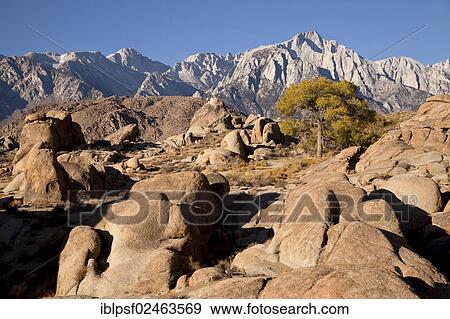 "Typical rock formations of the Alabama Hills, Sierra Nevada, California, United States of America, USA" View Large Photo Image Stock Photo - "Typical rock formations of the Alabama Hills, Sierra Nevada, California, United States of America, USA". Fotosearch