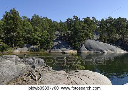 "Typical round polished rocks, roches moutonnees, on Finnhamn Island in the Stockholm Middle Archipelago, Stockholm, Sweden, Europe" View Large Photo Image Stock Image - "Typical round polished rocks, roches moutonnees, on Finnhamn Island in the Stockholm Middle Archipelago, Stockholm, Sweden, Europe". Fotosearch