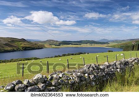 "Typical stone wall as a boundary for a pasture, called croft, Loch Ruthven at the rear, North West Highlands, Scotland, United Kingdom, Europe" View Large Photo Image Stock Image - "Typical stone wall as a boundary for a pasture, called croft, Loch Ruthven at the rear, North West Highlands, Scotland, United Kingdom, Europe". Fotosearch