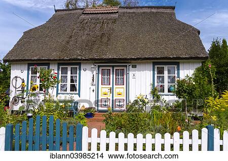 "Typical thatched house, Wieck, Fischland-Zingst, Mecklenburg-Western Pomerania, Germany, Europe" View Large Photo Image Picture - "Typical thatched house, Wieck, Fischland-Zingst, Mecklenburg-Western Pomerania, Germany, Europe". Fotosearch