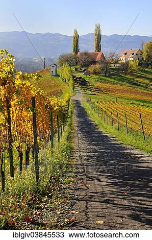 "Typical winery, South Styrian Wine Road, Styria, Austria, Europe" View Large Photo Image Stock Image - "Typical winery, South Styrian Wine Road, Styria, Austria, Europe". Fotosearch