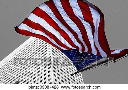 "U. S. -American flag flying in front of a skyscraper, New York City, New York, United States, North America" View Large Photo Image Stock Photo - "U. S. -American flag flying in front of a skyscraper, New York City, New York, United States, North America". Fotosearch