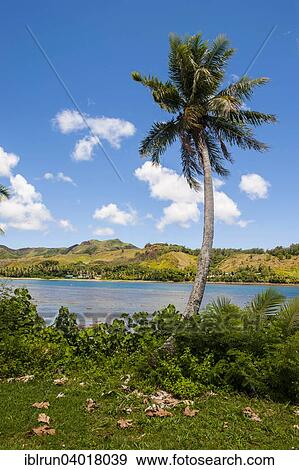 "Umatac Bay, Guam, US Territory, Pacific, Oceania" View Large Photo Image Stock Photo - "Umatac Bay, Guam, US Territory, Pacific, Oceania". Fotosearch