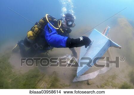 "Underwater artist Yuriy Alexeev, Yuri Alekseev, paints a picture under water, Lake Baikal, Listvyanka, Irkutsky District, Siberia, Russia, Europe" View Large Photo Image Picture - "Underwater artist Yuriy Alexeev, Yuri Alekseev, paints a picture under water, Lake Baikal, Listvyanka, Irkutsky District, Siberia, Russia, Europe". Fotosearch