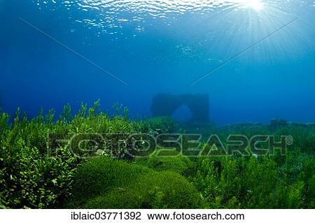 "Underwater world of the lake Lago Capo d'Acqua, Capistrano, L'Aquila, Italy, Europe" View Large Photo Image Stock Image - "Underwater world of the lake Lago Capo d'Acqua, Capistrano, L'Aquila, Italy, Europe". Fotosearch